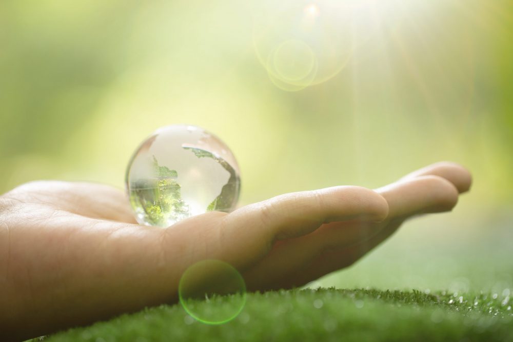 Sustentabilidade: Como a sua clínica pode colaborar com o Meio Ambiente
